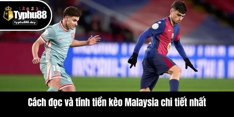Cách đọc và tính tiền kèo Malaysia chi tiết nhất