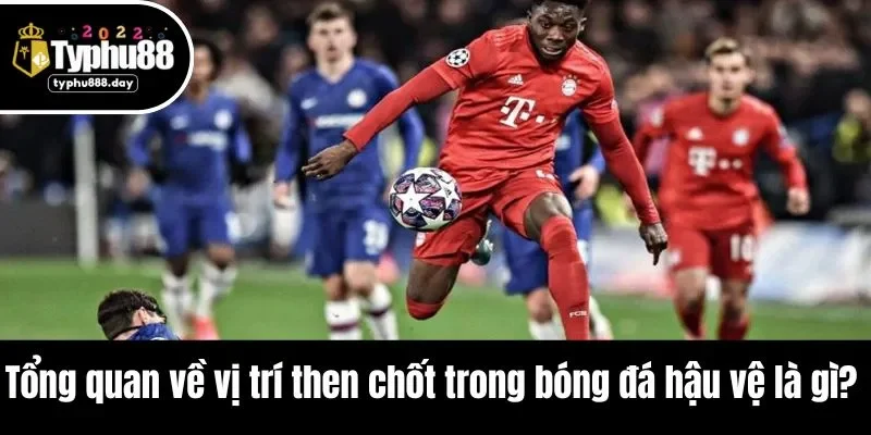 Tổng quan về vị trí then chốt trong bóng đá hậu vệ là gì? 